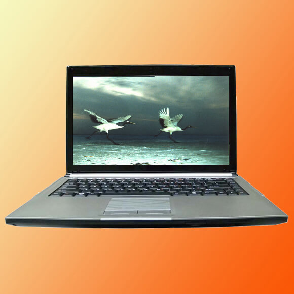 C42II2 - Notebook Computer