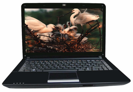 C42II1- Notebook Computer