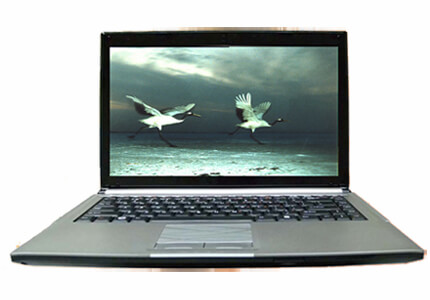 C42II2 - Notebook Computer